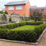 Ranelagh-back-garden