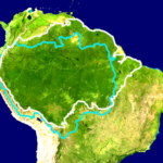 800px-Amazon_biome_outline_map.svg