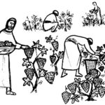 27th Sunday of the Year 2020 – Year A