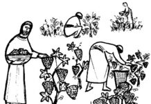 25th Sunday in Ordinary Time 2020 – Year A