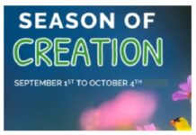 Suggested Practical Actions during the Season of Creation 2020