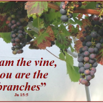 5th Sunday of Easter 2021 – Year B