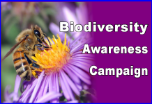 Biodiversity Awareness Campaign 30th Aug to 10th Sept