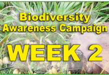 Biodiversity Awareness Campaign: LAUDATOS SI’ WEEK