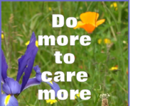 THE BEAUTY OF CREATION IN BLACKROCK RD