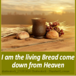 19th Sunday in Ordinary Time 2021 – Year B