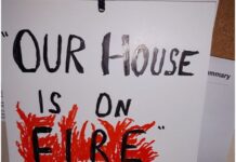 Dromantine in bloom 2021