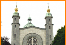 These Are the Knees – A Reflection