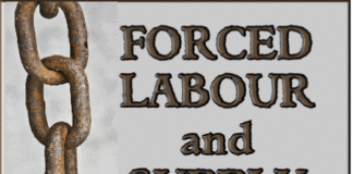 Labour Trafficking and Supply Chains – part two