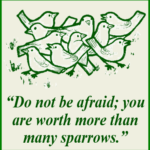 Homily for the 12th Sunday of Ordinary Time