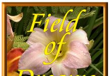 SMA Parish Wilton supports the Field of Dreams