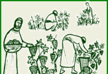 Homily for the 25th Sunday of Ordinary Time, Year A