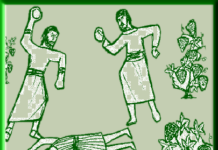 Homily for the 27th Sunday of Ordinary Time, Year A