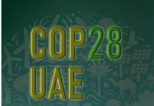 COP28 and Laudate Deum