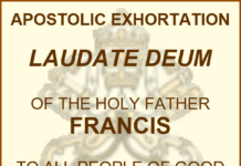 Laudate Deum”: a call to respond to the Climate Crisis