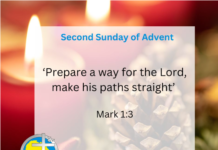 Homily for the second Sunday of Advent 2023