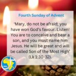 Homily for the 4th Sunday of Advent 2023