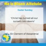 Homily for Easter Sunday 2024