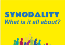 Synodality: What’s it all About? – by Michael McCabe SMA