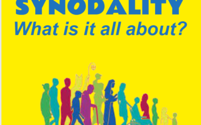 Synodality: What’s it all About? – by Michael McCabe SMA