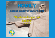 Homily for the Second Sunday of Easter Year B