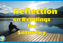 REFLECTION FOR All Saints Day – 1 November 2025 – Fr Kevin O’Gorman SMA