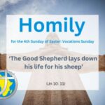 Homily for the 4th Sunday of Easter 2024 – Vocations’ Sunday