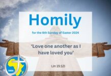Homily for the 6th Sunday of Easter 2024
