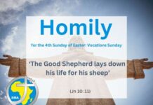Homily for the 4th Sunday of Easter 2024 – Vocations’ Sunday