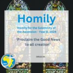 Homily for the Solemnity of the Ascension Year B, 2024