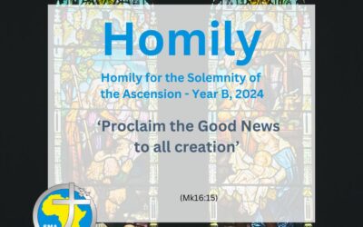 Homily for the Solemnity of the Ascension Year B, 2024