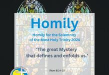 Homily on the Solemnity of the Most Holy Trinity 2024