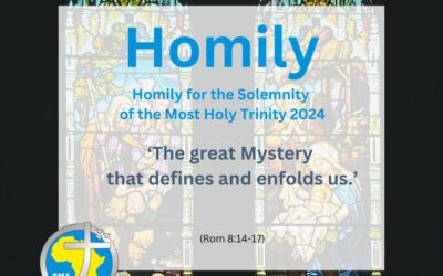 Homily on the Solemnity of the Most Holy Trinity 2024