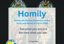 Homily for the Solemnity of the Body and Blood of Christ 2024