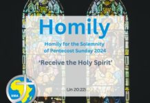 Homily for the Solemnity of Pentecost Sunday 2024