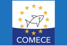 Strengthening the Culture of Democracy through Values