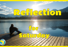 REFLECTION FOR SATURDAY 4th October 2025 – Fr Kevin O’Gorman SMA