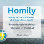 Homily for the 12th Sunday of Ordinary Time, Year B
