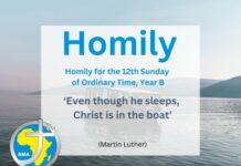 Homily for the 12th Sunday of Ordinary Time, Year B