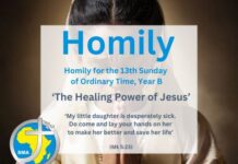 Homily for the 13th Sunday of Ordinary Time, Year B