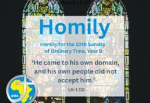 Homily for the 10th Sunday of Ordinary Time, Year B