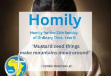 Homily for the 11th Sunday of Ordinary Time Year B, 2024