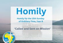 Homily for the 15th Sunday of Ordinary Time, Year B