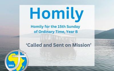 Homily for the 15th Sunday of Ordinary Time, Year B