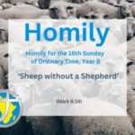 Homily for the 16th Sunday in Ordinary Time, Year B