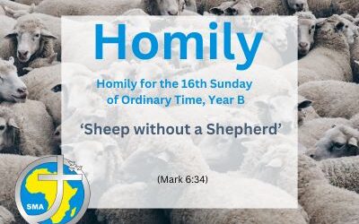 Homily for the 16th Sunday in Ordinary Time, Year B