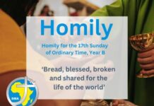 Homily for the 17th Sunday of Ordinary Time 2024