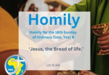 Homily for the 18th Sunday of Ordinary Time 2024