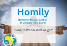 Homily for 21st Sunday in Ordinary Time 2024, Year B