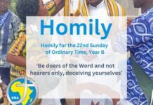 Homily for the 22nd Sunday, Year B
